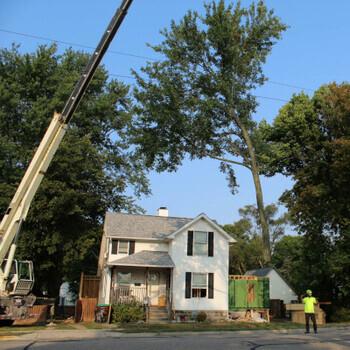 Crane holding a limb over a house