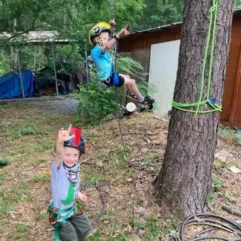 Kids climbing tree with rope