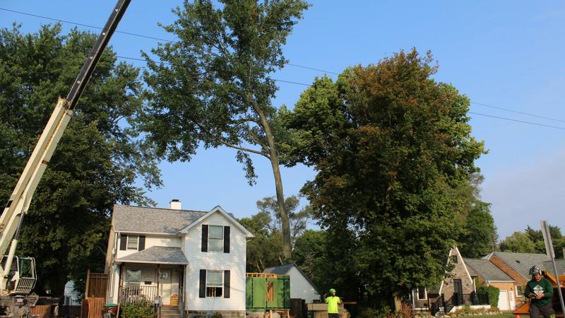 Crane holding a large limb over a house