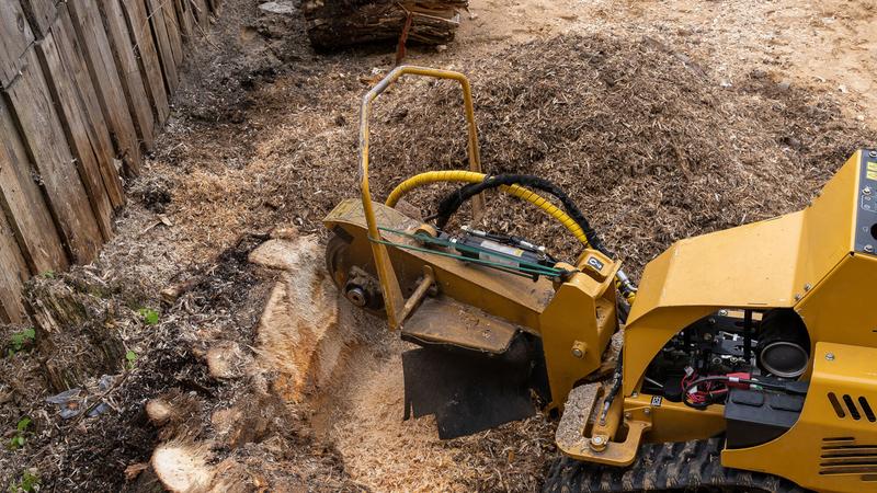 Stump grinder grinding a large stump near a fence