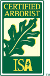 ISA Logo