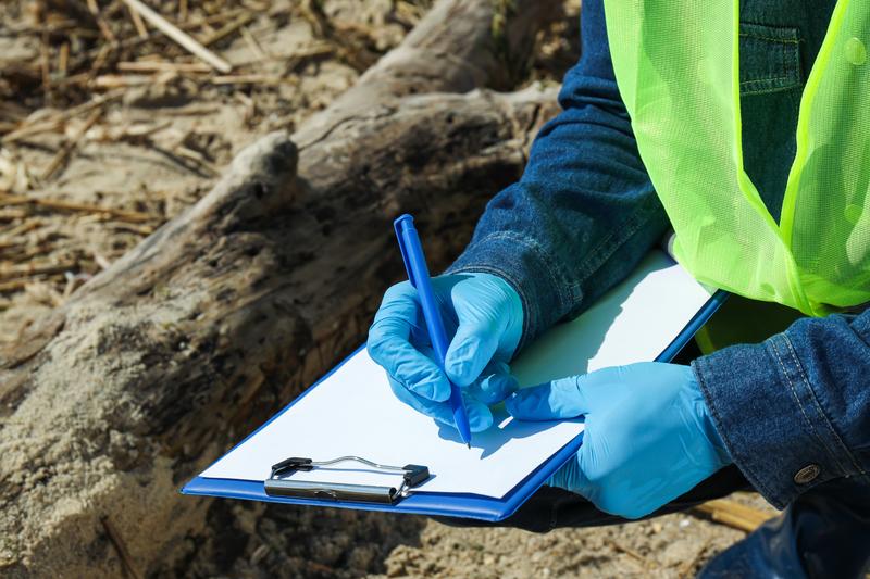 Arborist taking notes while inspecting