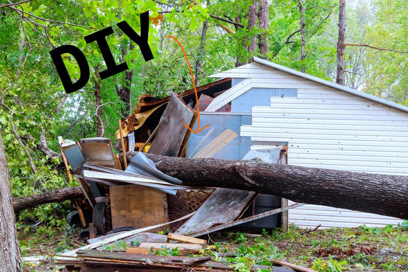 DIY tree fell on shed