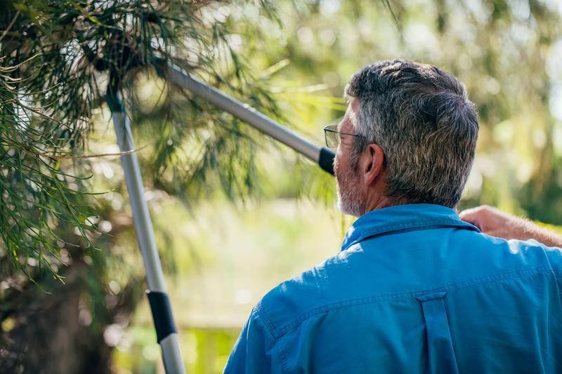 Homeowner pruning a tree with loppers