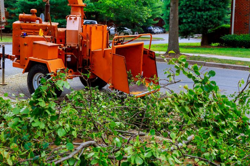 Wood chipper with a pile of branches