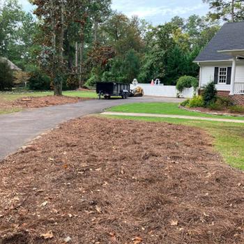 Finished stump grinding, stump is gone