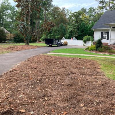 Finished stump grinding with the stump gone