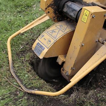 Stump grinder grinding a stump in the grass below ground