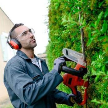 A man trimming a hedge with hedge trimmers